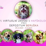received_432497201318002