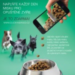 CLICK AND FEED leták