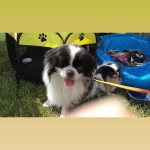 IMG-20210620-WA0037