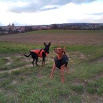 IMG-20230301-WA0007