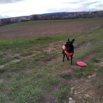 IMG-20230301-WA0013