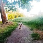 IMG-20210615-WA0004
