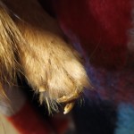 IMG-20211009-WA0041