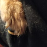 IMG-20211009-WA0042