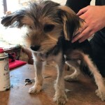 received_281478123850412