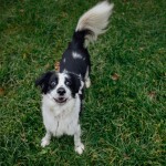 IMG-20211118-WA0012