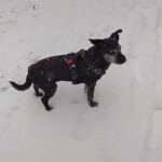 IMG-20211217-WA0007