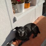 IMG-20220324-WA0000