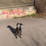 IMG-20220324-WA0003