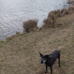 IMG-20220324-WA0004