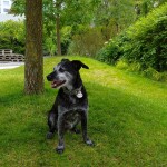 IMG-20220628-WA0004