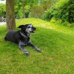 IMG-20220628-WA0005