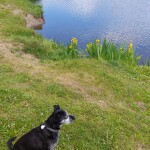 IMG-20220628-WA0006