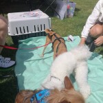 IMG-20220522-WA0018