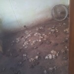 IMG-20220702-WA0038
