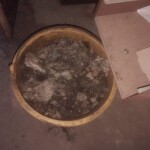 IMG-20220702-WA0042