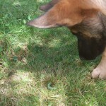 IMG-20220831-WA0005