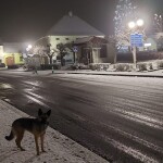 IMG-20230305-WA0002