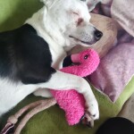 IMG-20220930-WA0005