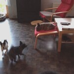 IMG-20220930-WA0065