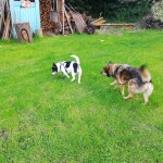 IMG-20221001-WA0001