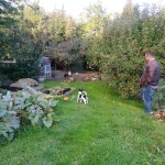 IMG-20221001-WA0004