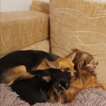 IMG-20230303-WA0014