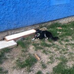 IMG-20230823-WA0006