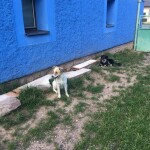 IMG-20230823-WA0009