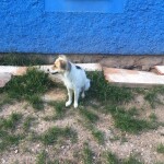 IMG-20230823-WA0010
