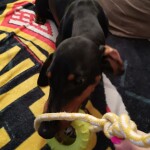 IMG-20230210-WA0045