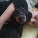 IMG-20230308-WA0022