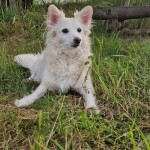 IMG-20241113-WA0035