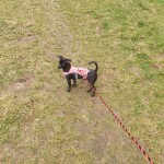 IMG-20230304-WA0019