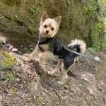 IMG-20230629-WA0018