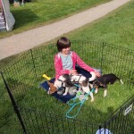 IMG-20230521-WA0004