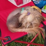 IMG-20230521-WA0014