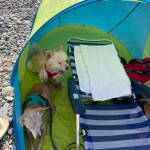 IMG-20230629-WA0019