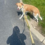IMG-20250804-WA0011