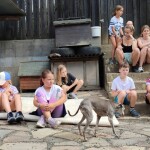 IMG-20230719-WA0022