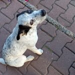 IMG-20230921-WA0048