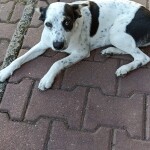 IMG-20230921-WA0049
