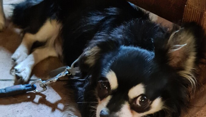 Egon