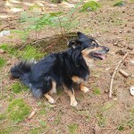 IMG-20230703-WA0030