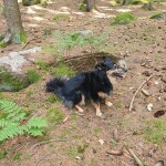 IMG-20230703-WA0031