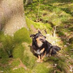 IMG-20230703-WA0033