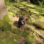 IMG-20230703-WA0034