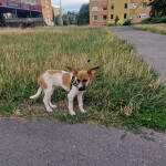 IMG-20230808-WA0002