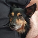 IMG-20230808-WA0007