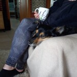 IMG-20230809-WA0000